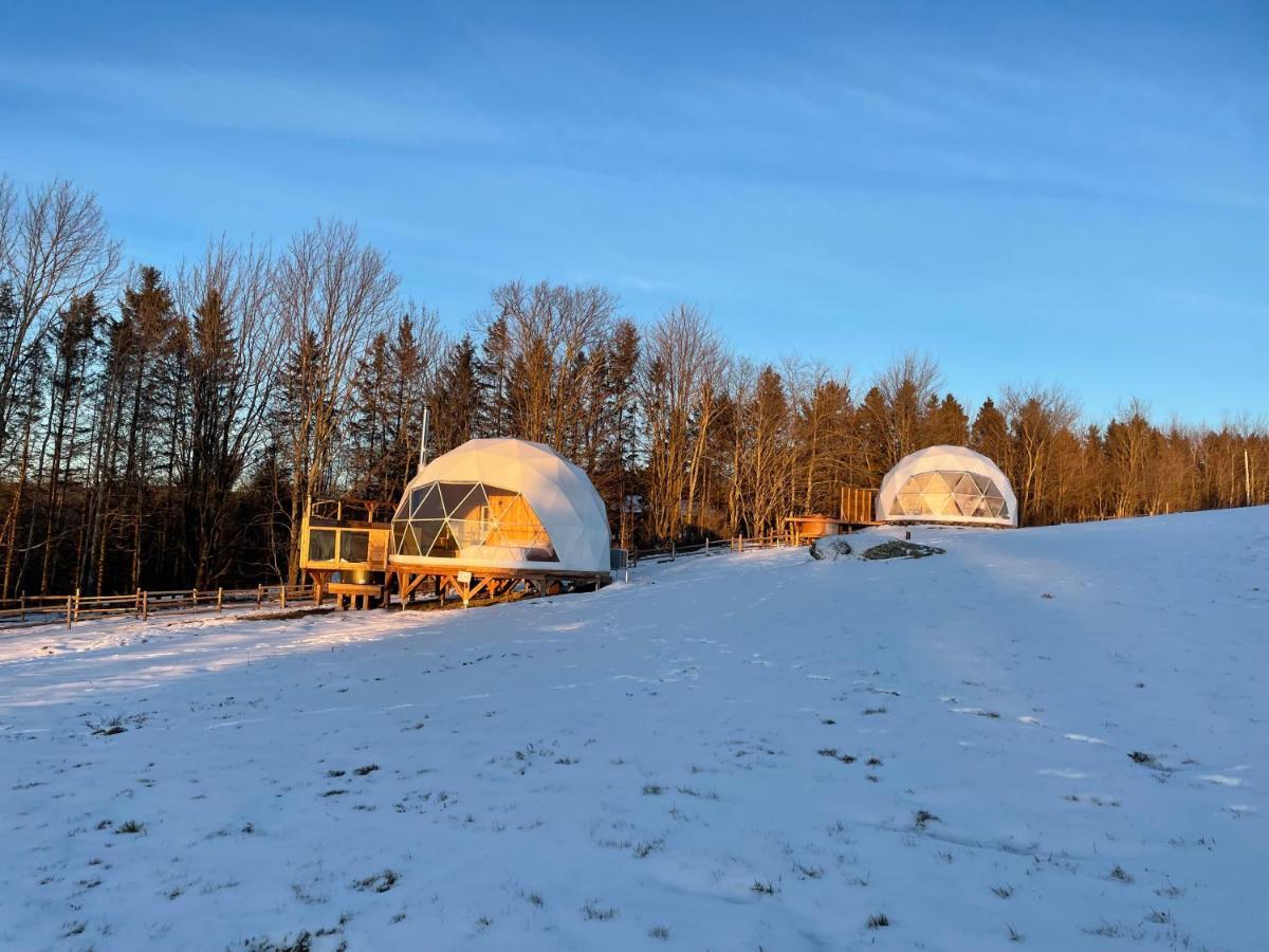 Mi-Clos - Luxury Pods With Private Jacuzzis Orford Exteriör bild